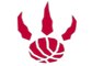 Toronto Raptors