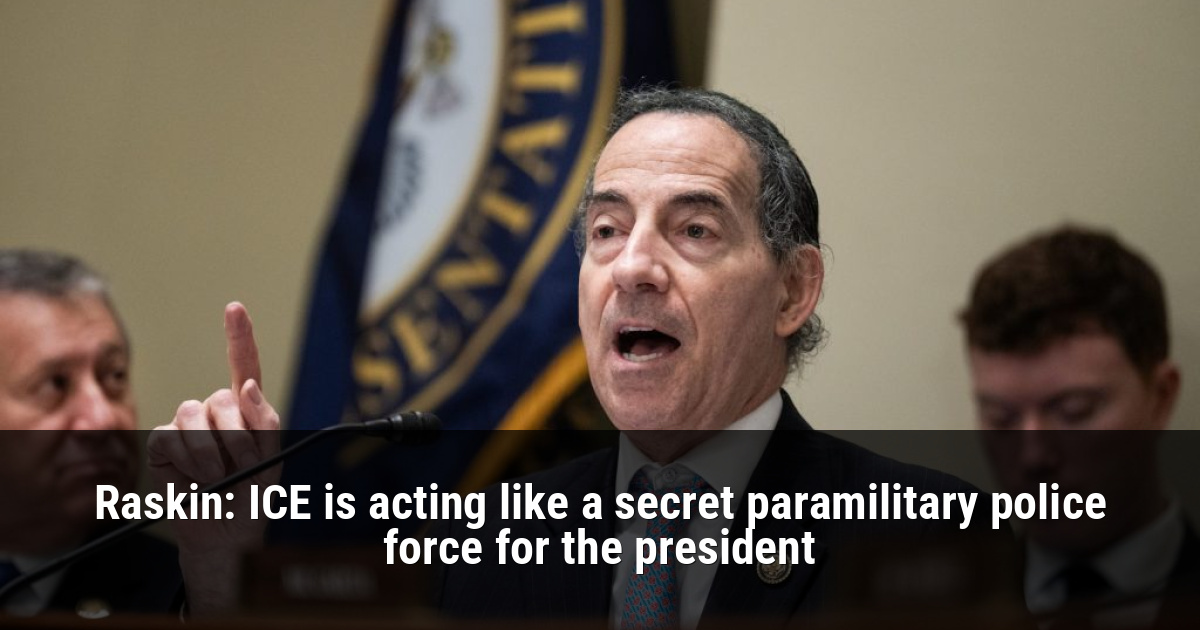 Raskin: ICE is acting like a secret paramilitary police force for the president
