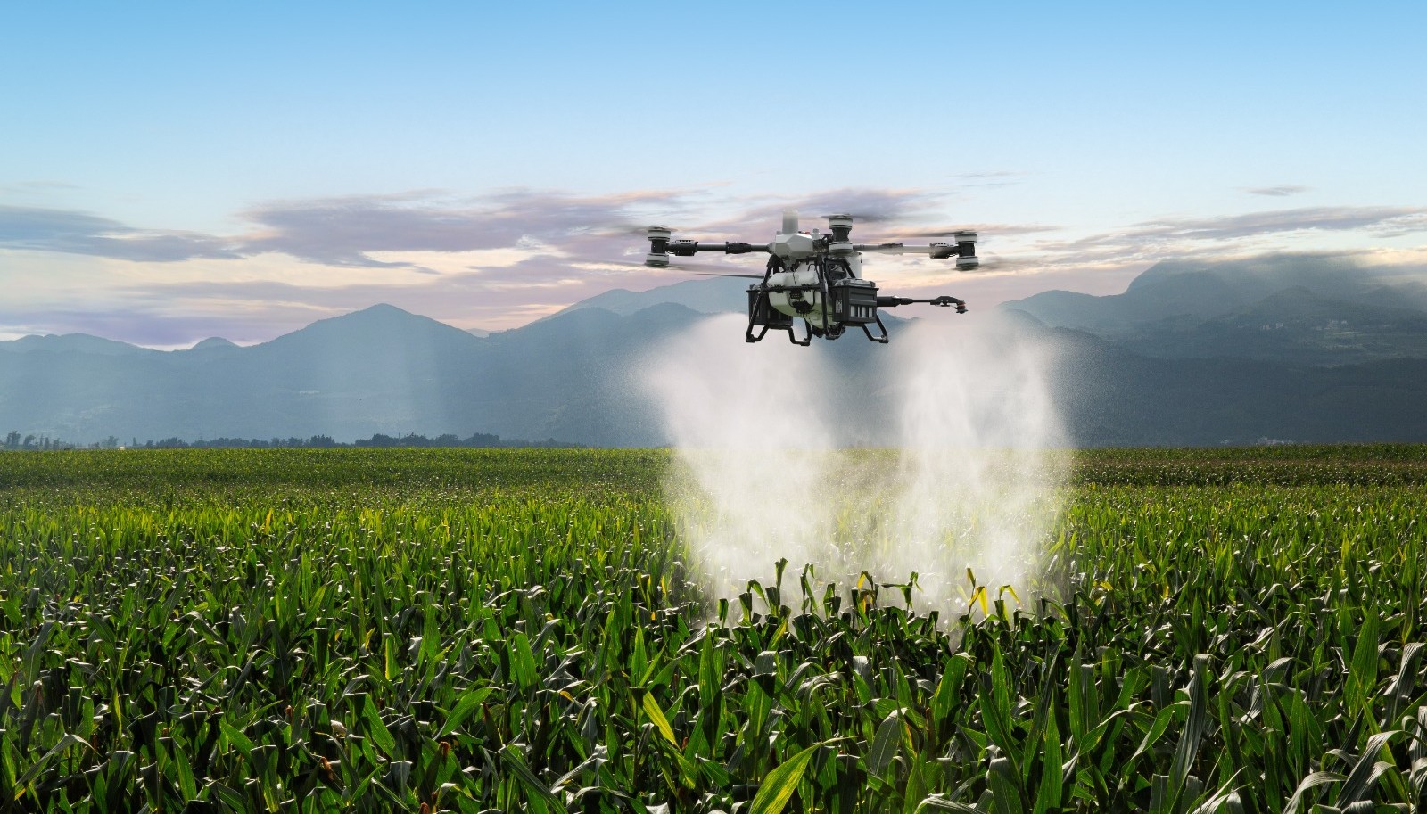 Los drones ayudan a generar conocimiento en red, para frenar a plagas, malezas y enfermedades