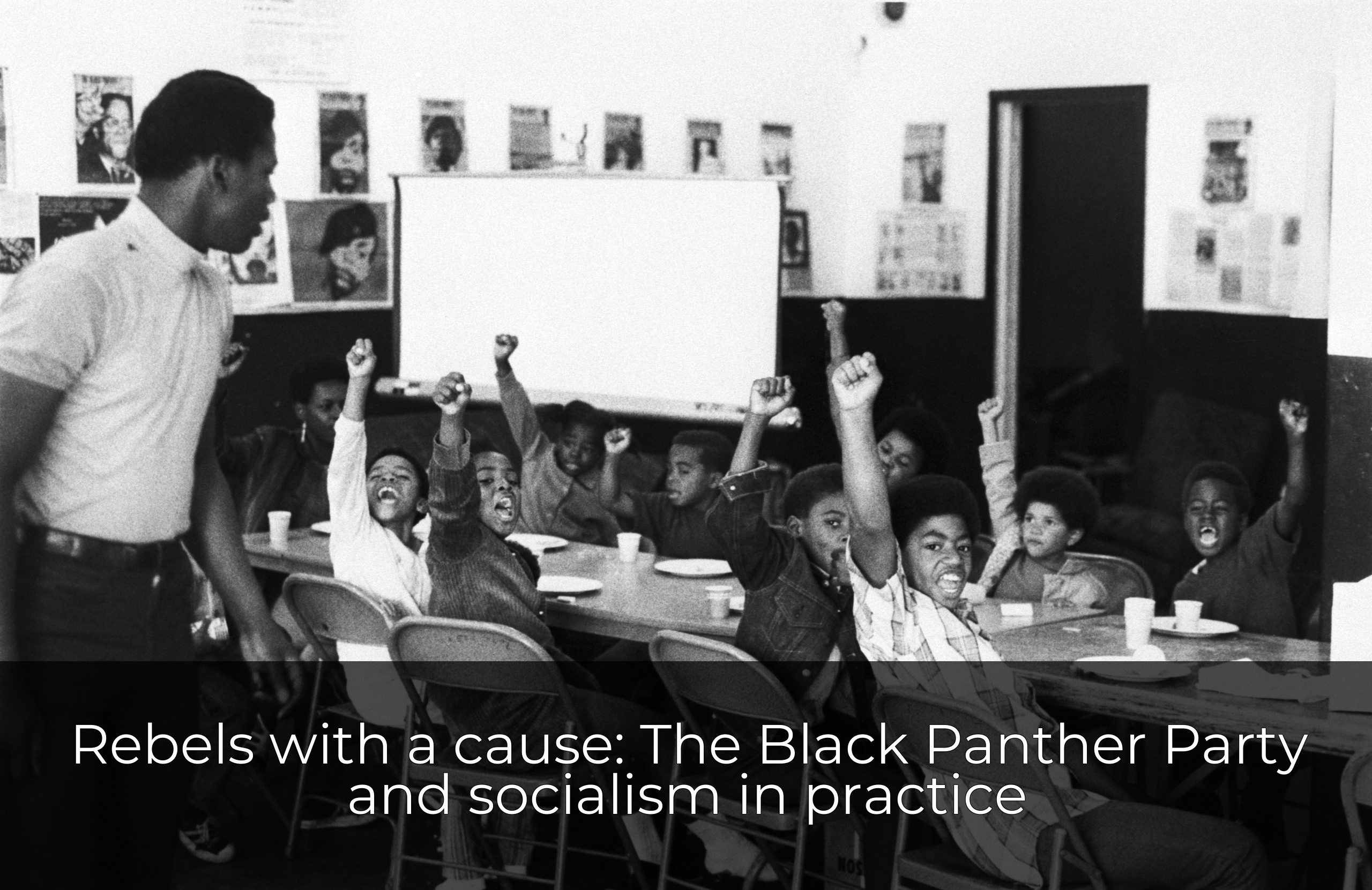 Rebels with a cause: The Black Panther Party and socialism in practice